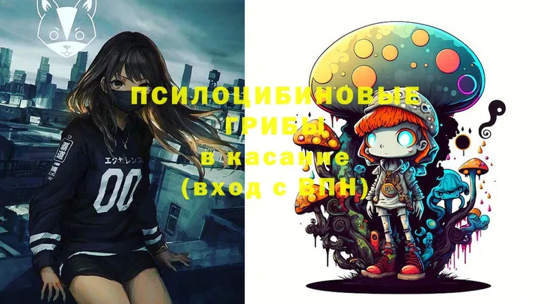 Галлюциногенные грибы Psilocybine cubensis  shop Telegram  Гуково 